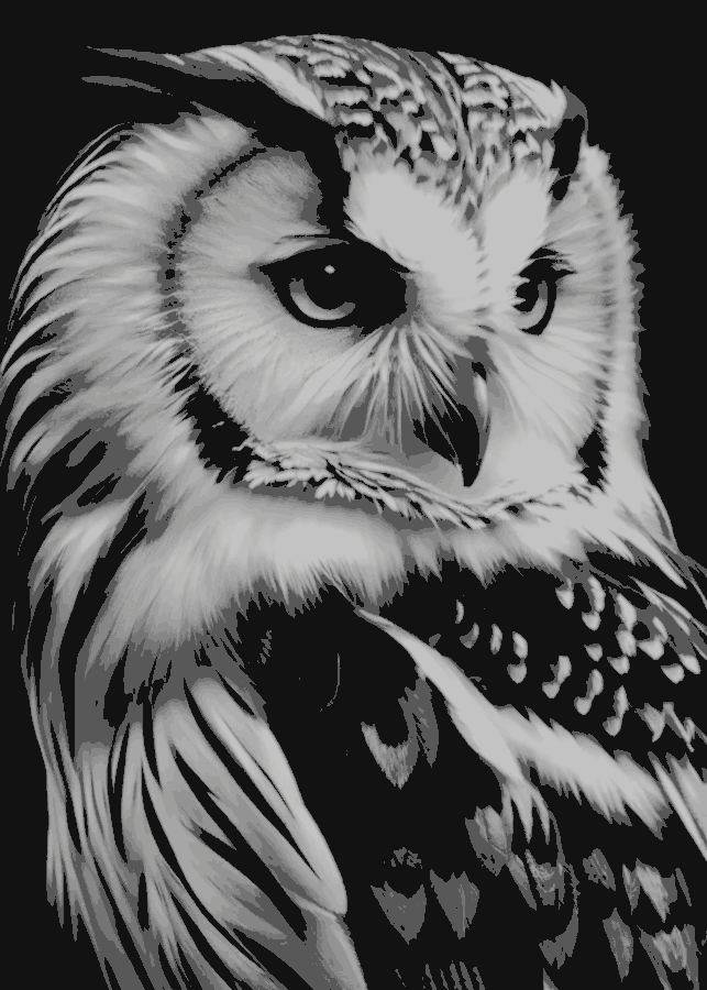 Estimated black-and-white filament appearance of the generated owl study